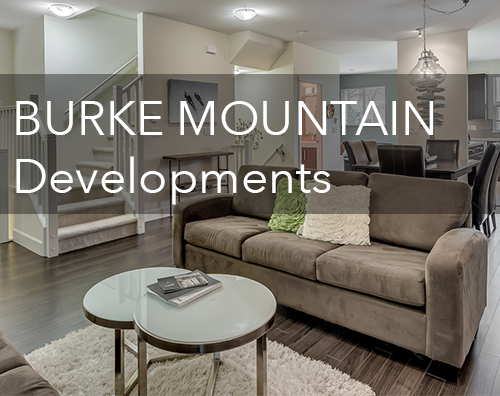Burke Mountain Real Estate Developments