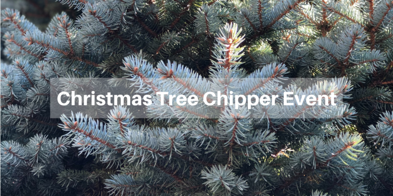 Coquitlam Christmas Tree Chipper Krista Lapp Top Realtor Photo