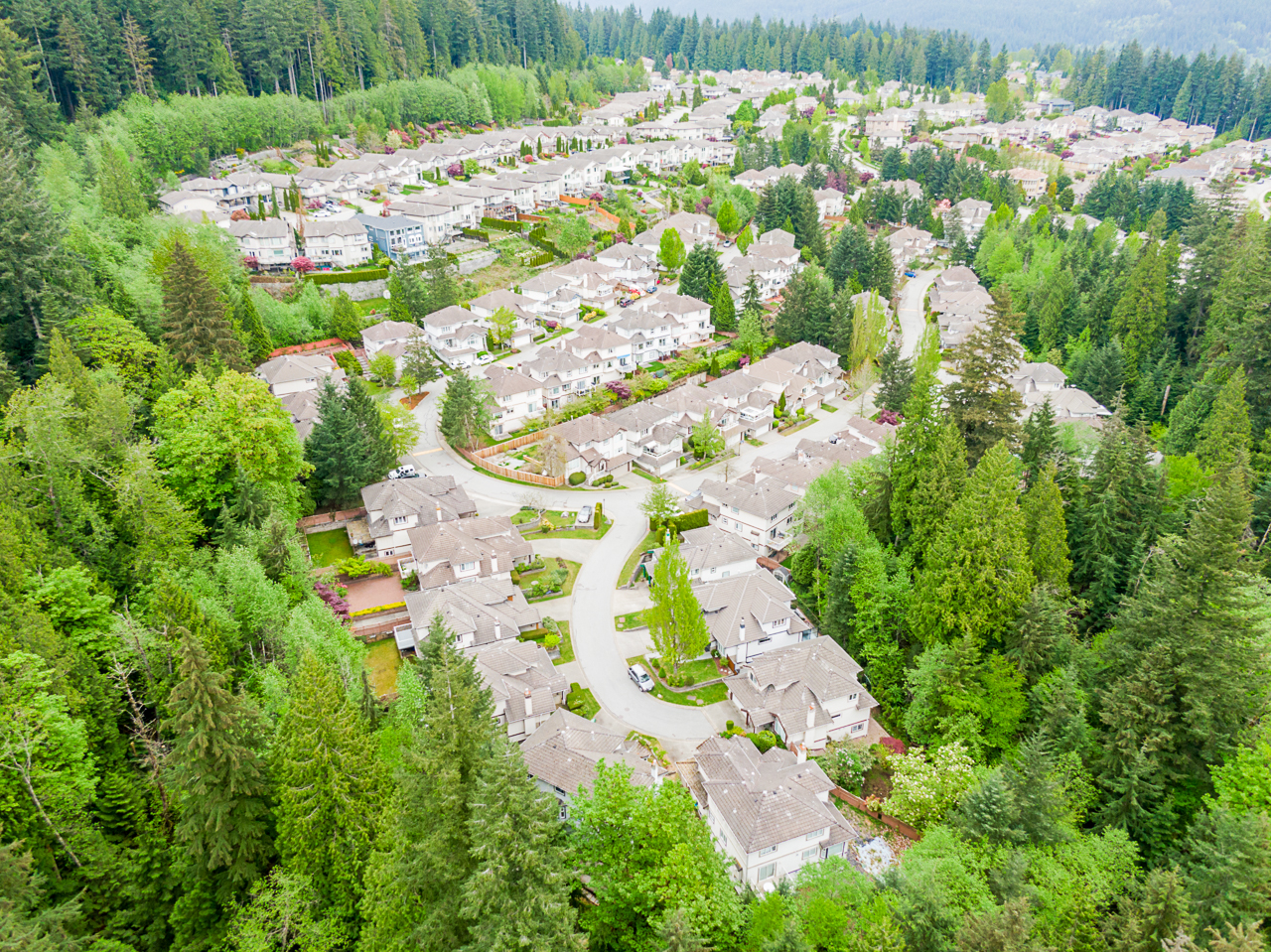 Krista Lapp Top Coquitlam Realtor 1648 Plateau Drone Crescent Coquitlam