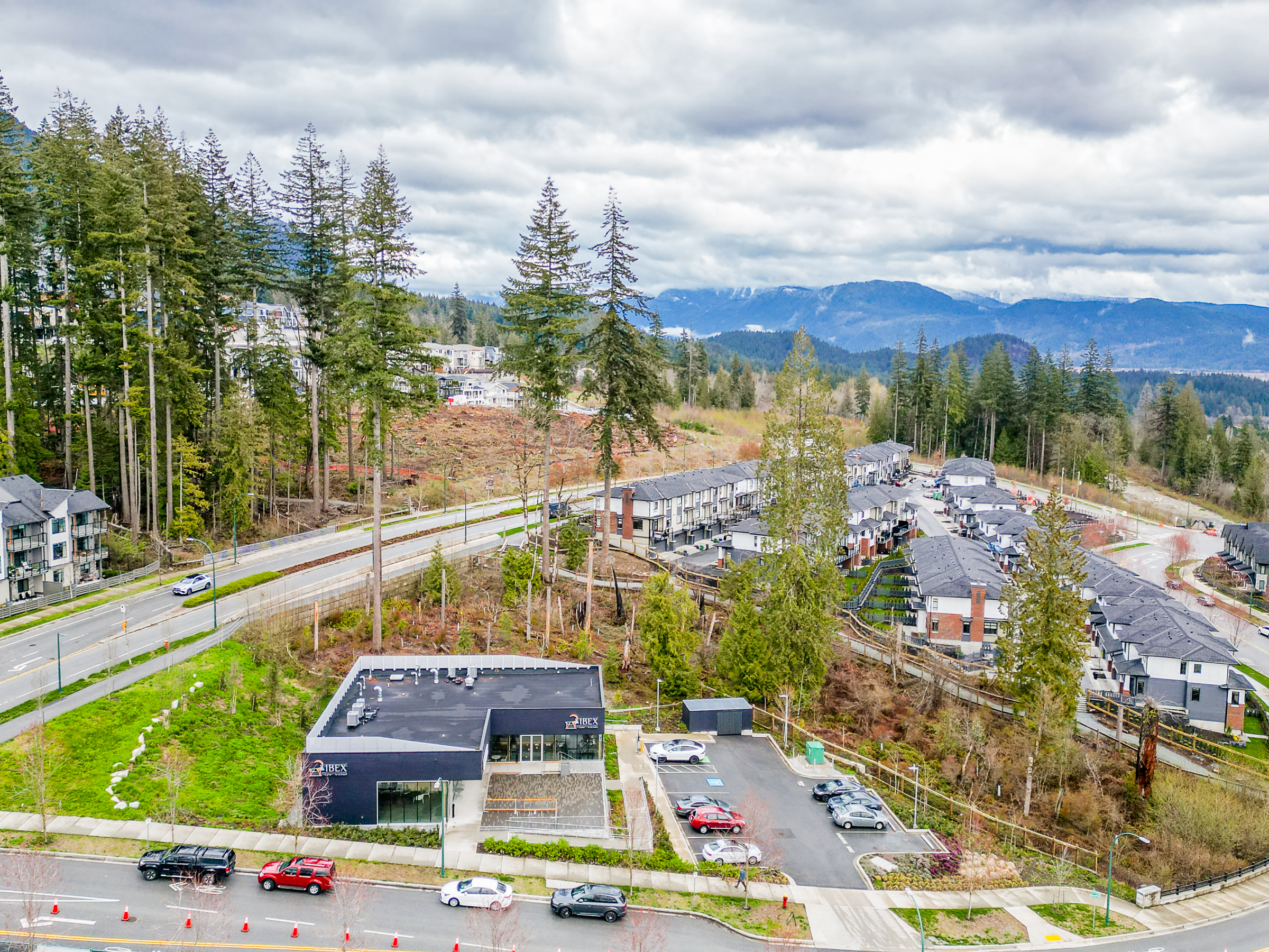 Krista Lapp Burke Mountain Real Estate Unit 48 1320 Riley by Mosaic Street Coquitlam Drone