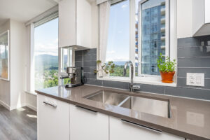 Coquitlam Realtor Krista Lapp Unit 2007 3100 Windsor Gate Coquitlam Condo for sale