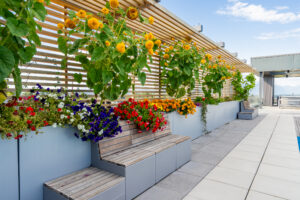 Unit A309 20727 Willoughby Town Centre Drive Langley Condo For Sale Krista Lapp