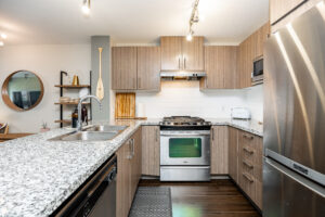 Coquitlam Realtor Krista Lapp Unit 309 3156 Dayanee Springs Blvd Coquitlam Condo For Sale MLS